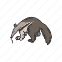 animals, anteater, giant anteater, mammal, solitary mammals, worm tongue