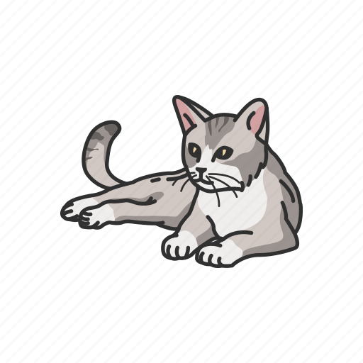 Animal, cat, domestic cat, feline, kitten, mammal, pet icon - Download on Iconfinder