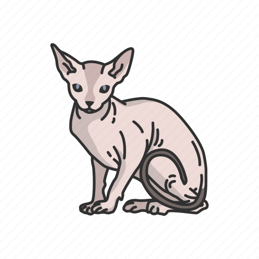 Animals, cat, feline, kitten, mammal, pet, sphynx icon - Download on Iconfinder