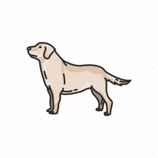 Animals, dog, golden retriever, gun dog, labrador, mammal, puppy icon - Download on Iconfinder