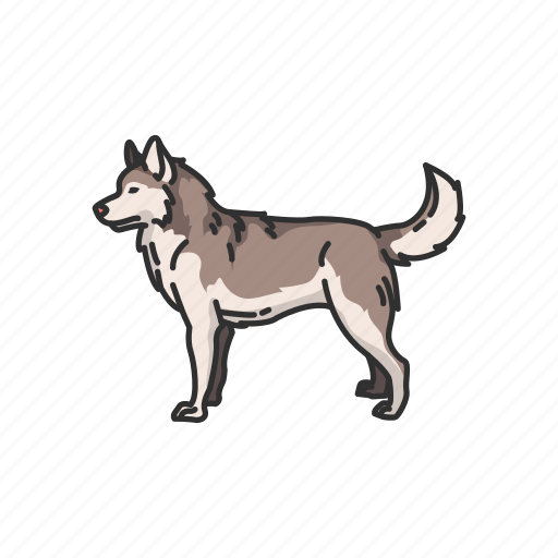Animal, canine, husky, mammal, siberian husky, sled dog, wolf icon - Download on Iconfinder