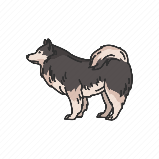 Animals, dog, japanese spitz, mammal, pet, puppy, spitz icon - Download on Iconfinder