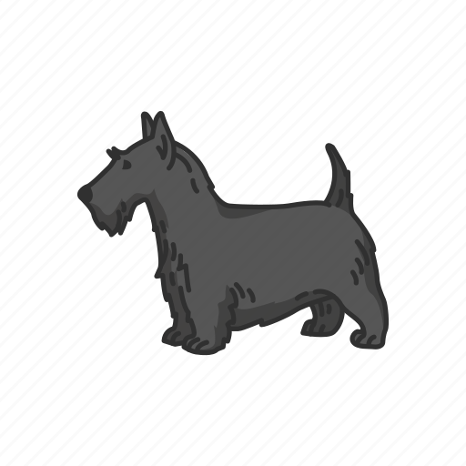 Animals, dog, mammal, pet, scottie, scottish terrier, terrier icon - Download on Iconfinder