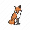 animal, canine, fox, kit fox, mammal, red fox, reynard