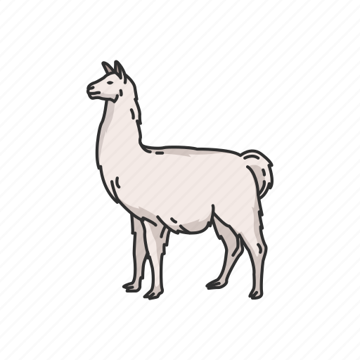 Alpaca, animals, cria, lama galma, llama, mammal, pack animal icon - Download on Iconfinder