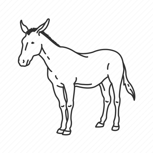 Ass, donkey, equidae family, equus africanus asinus, jack, medium land mammal icon - Download on Iconfinder