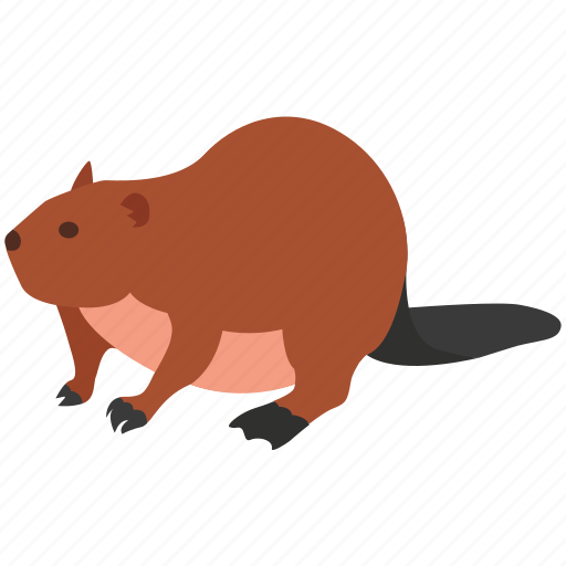 American, animal, beaver, canada, eurasian, fur, pelt icon - Download on Iconfinder