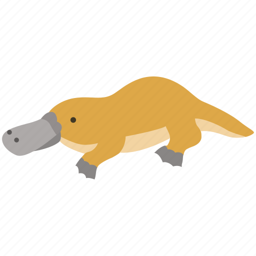 Animal, australia, monotreme, platypus, rare, unusual, zoo icon - Download on Iconfinder