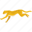 acceleration, cheetah, fast, hunter, predator, speed, sprint 