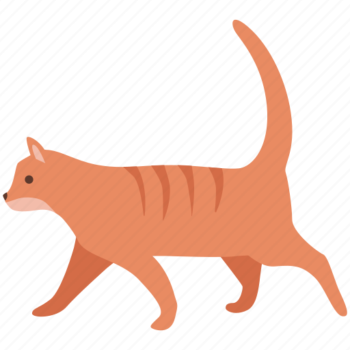 Cat, domestic, feline, feral, house, pet, wild icon - Download on Iconfinder