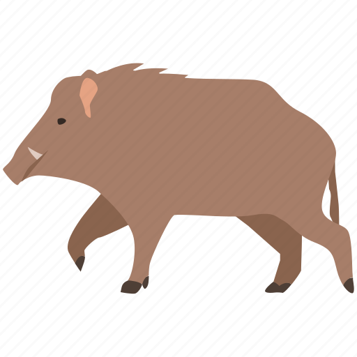 Boar, feral, game, hunting, pig, swine, wild icon - Download on Iconfinder