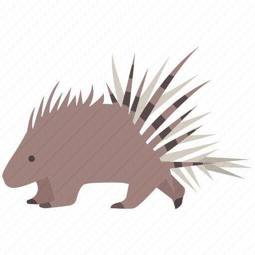 Cape, crested, mammal, porcupine, quills, rodent, spines icon - Download on Iconfinder