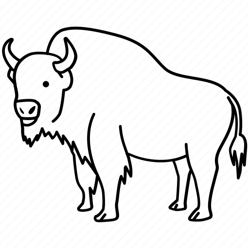 American, bison, bovine, bull, european, extinct, hunting icon - Download on Iconfinder