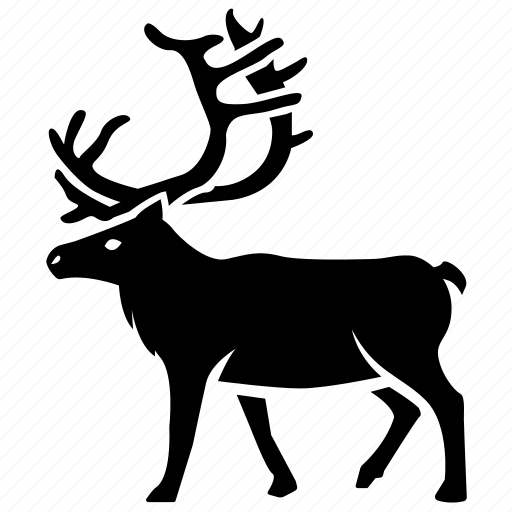 Antlers, caribou, elk, hunting, reindeer, stag, trophy icon - Download on Iconfinder