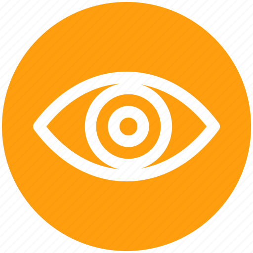 Eye, eyeball, human eye, overview, search, view, vision icon - Download on Iconfinder