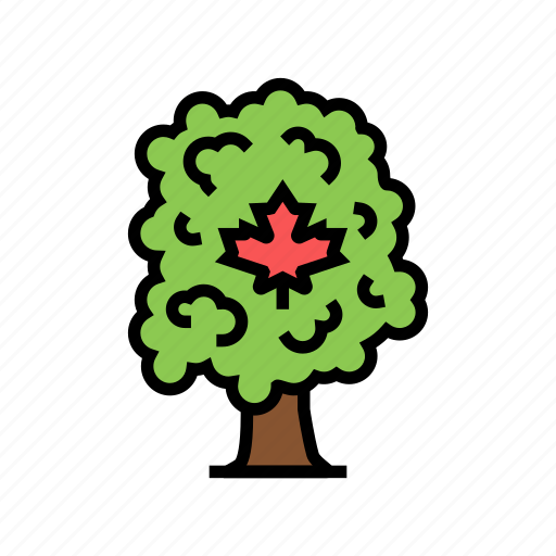 Maple, tree, syrup, delicious, liquid, sap icon - Download on Iconfinder