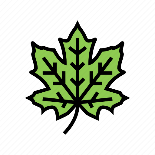 Maple, tree, leaf, color, syrup, delicious, liquid icon - Download on Iconfinder
