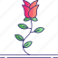 rose, flower, plant 