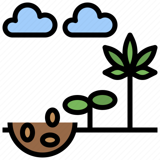 Cannabis, drugs, germination, healthcare, marijuana, medical, premium icon - Download on Iconfinder