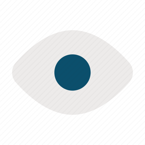 Eye, vision, view, lens, optical, look icon - Download on Iconfinder
