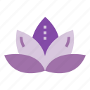flower, lotus, spa, yoga
