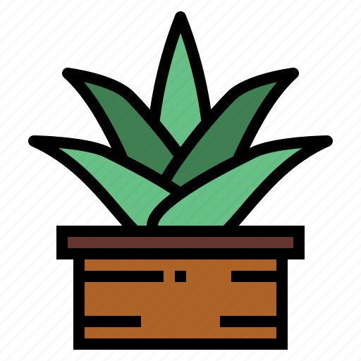 Aloe, gardening, medical, plant, vera icon - Download on Iconfinder