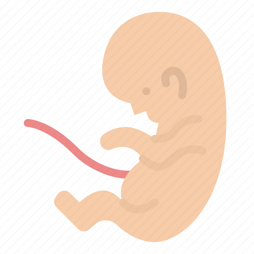 Fetus, baby, unborn, fertilization icon - Download on Iconfinder
