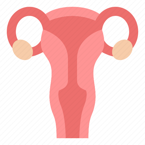 Uterus, woman, organ, womb icon - Download on Iconfinder