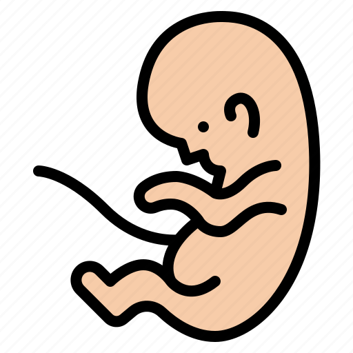 Fetus, baby, unborn, fertilization icon - Download on Iconfinder