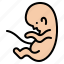 fetus, baby, unborn, fertilization 