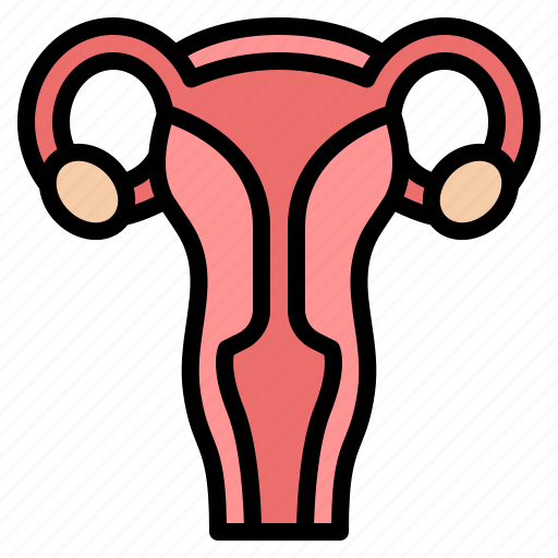 Uterus, woman, organ, womb icon - Download on Iconfinder