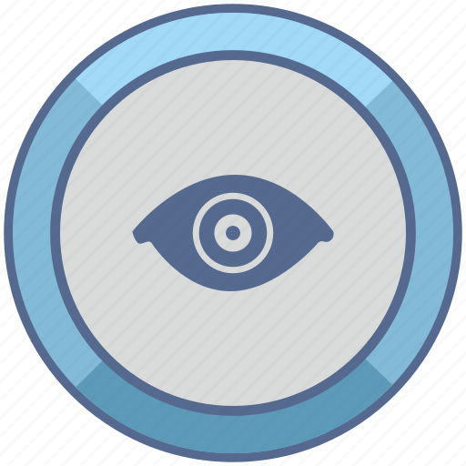 Biometry, eye, identity, person, view icon - Download on Iconfinder