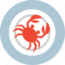 cooking, crab, food, meal, plate, red