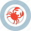 cooking, crab, food, meal, plate, red 