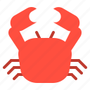 animal, crab, food, meat, sea