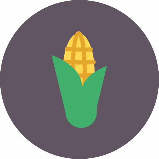 Corn, flour, food, healthy, meat, vegetable, wheat icon - Download on Iconfinder