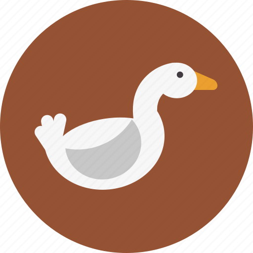 Animal, bird, duck, lake, meat, nature, pet icon - Download on Iconfinder