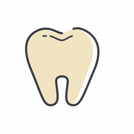 Tooth, dental, doctor, medical, medicine, treatment icon - Download on Iconfinder