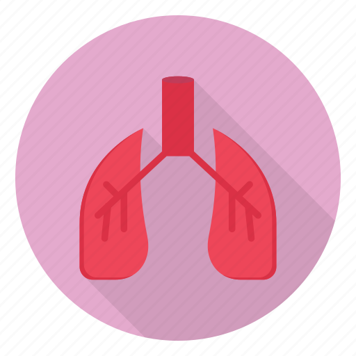Breath, healthcare, lungs, medical, pulmonology icon - Download on Iconfinder