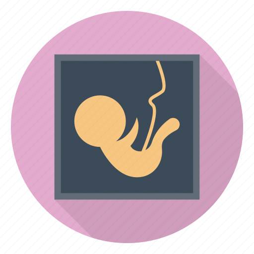 Healthcare, medical, pregnancy, report, ultrasound icon - Download on Iconfinder