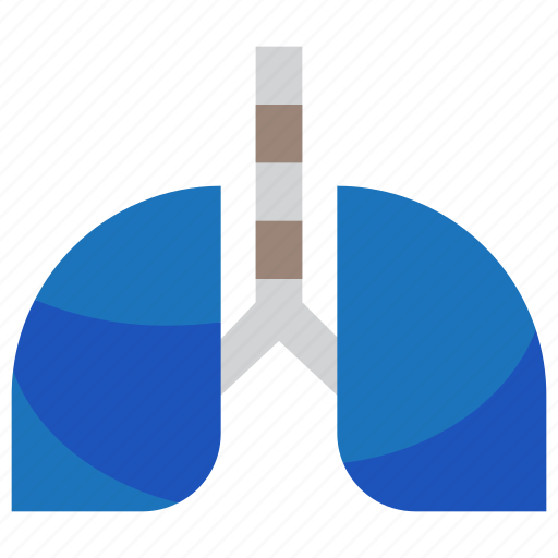Breath, lung, medical, organ, pulmonology icon - Download on Iconfinder