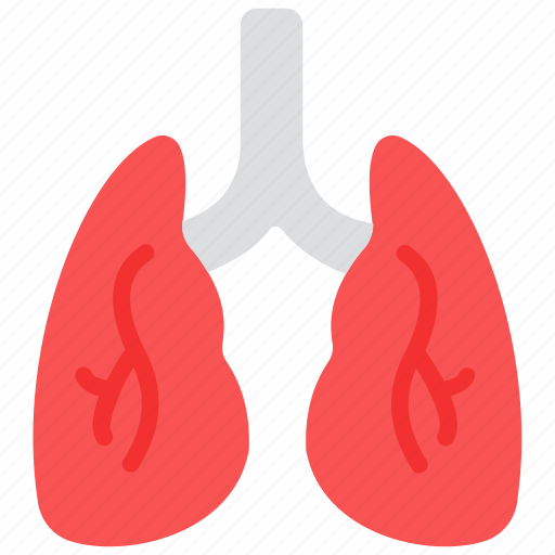 Bronchial, human lungs, human organ, lungs, pulmonology, respiratory tract icon - Download on Iconfinder