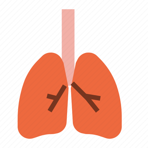 Lungs, breath, anatomy, organ, medical icon - Download on Iconfinder