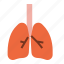 lungs, breath, anatomy, organ, medical 