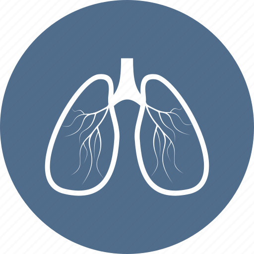 Ambulance, hospital, lungs, medical, medicine, organs icon - Download on Iconfinder