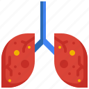 lungs, infection, virus, corona, organ, breath