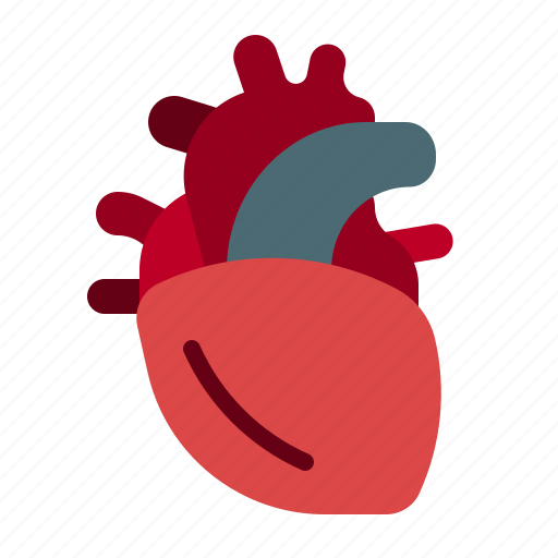 Heart, transplant, doctor, bodyparts, medical icon - Download on Iconfinder