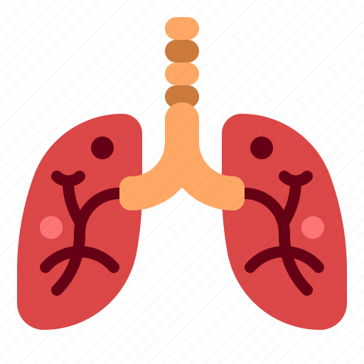 Lung, breath, organ, medical, anatomy icon - Download on Iconfinder