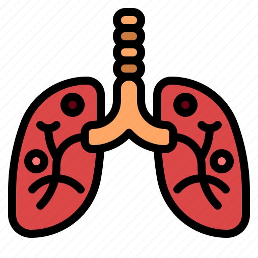 Lung, breath, organ, medical, anatomy icon - Download on Iconfinder