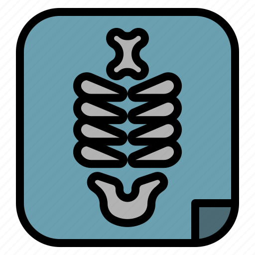 Xray, skeleton, medical, bones, radiology icon - Download on Iconfinder